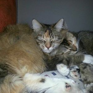 Meet your Posher, Brenda